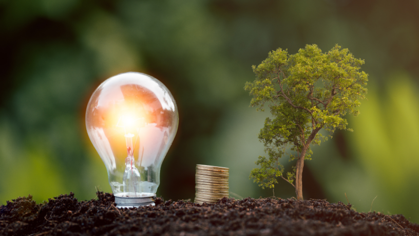 Descubra com Fernando Trabach Filho como a economia digital pode impulsionar práticas sustentáveis no setor de energia.