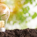 Fernando Trabach Filho explora as conexões entre economia digital e sustentabilidade energética, revelando oportunidades para um futuro mais eficiente.